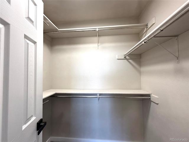 view of walk in closet
