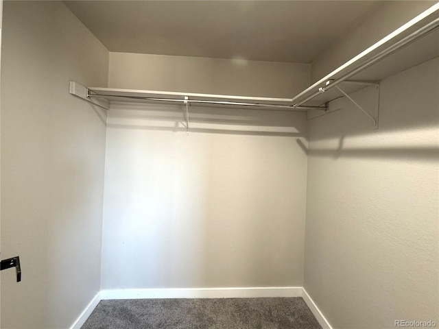 walk in closet featuring carpet