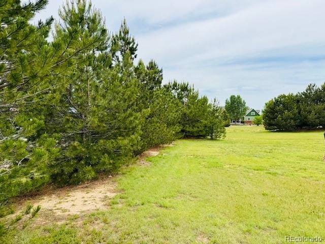 935 Green Gables Cir, Bennett, CO 80102 - view of green lawn