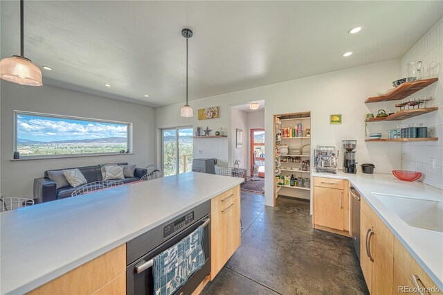 6644 County Road 110, Salida, CO 81201 - kitchen featuring open shelves, light brown cabinets, concrete floors, light countertops, and stainless steel dishwasher