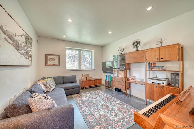 6644 County Road 110, Salida, CO 81201 - living area featuring recessed lighting