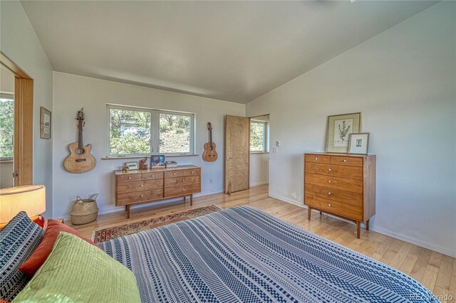 6644 County Road 110, Salida, CO 81201 - bedroom with hardwood / wood-style flooring and vaulted ceiling