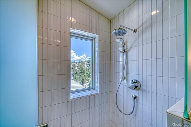 6644 County Road 110, Salida, CO 81201 - bathroom with tiled shower