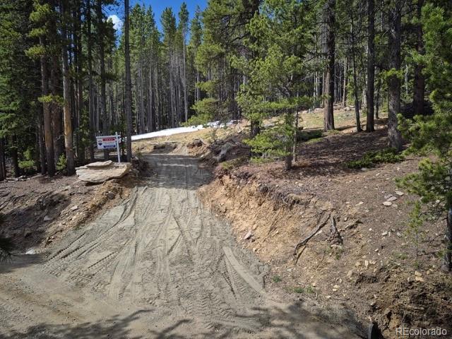 312 Sawmill Ln, Idaho Springs, CO 80452
