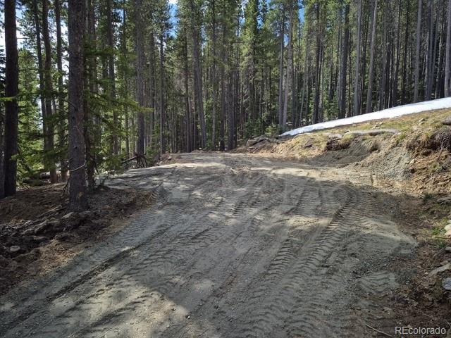 312 Sawmill Ln, Idaho Springs, CO 80452