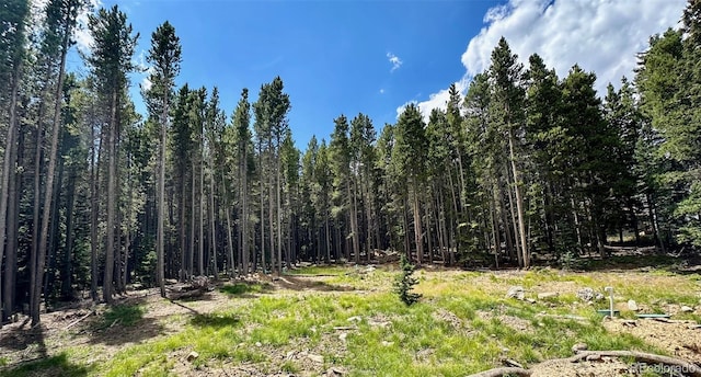 312 Sawmill Ln, Idaho Springs, CO 80452