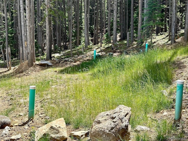 312 Sawmill Ln, Idaho Springs, CO 80452