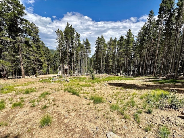 312 Sawmill Ln, Idaho Springs, CO 80452