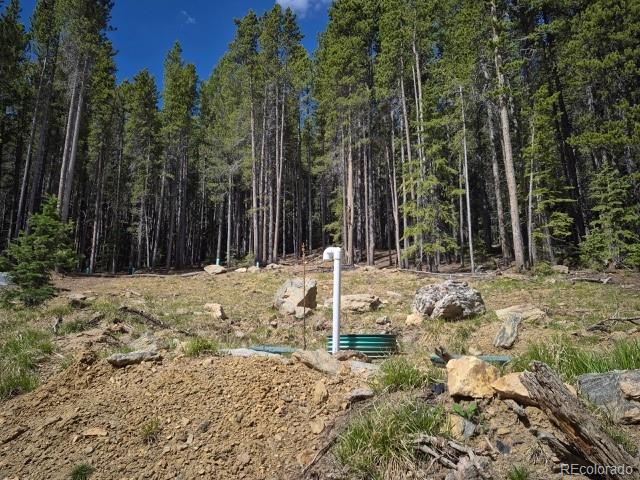 312 Sawmill Ln, Idaho Springs, CO 80452