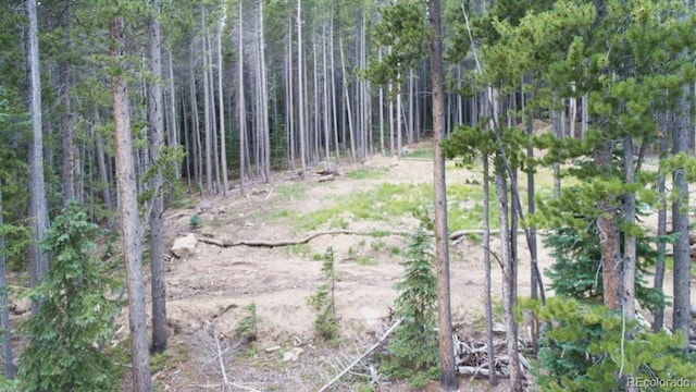 312 Sawmill Ln, Idaho Springs, CO 80452