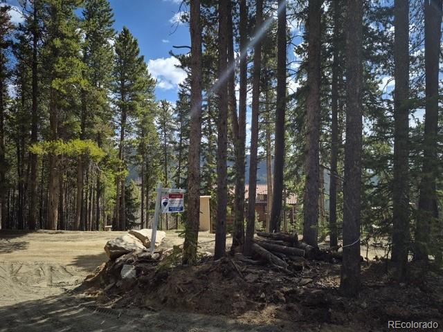 312 Sawmill Ln, Idaho Springs, CO 80452