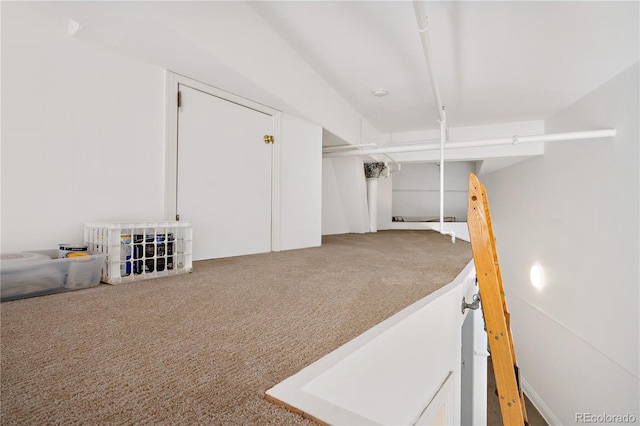 basement with carpet flooring