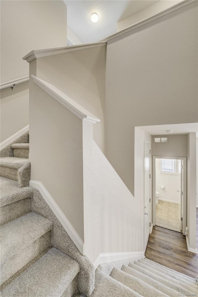 3386 Valentia St, Denver, CO 80238 - stairway featuring baseboards and carpet flooring