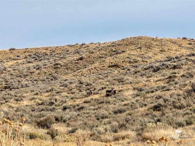 Johnson Rd, Craig, CO 81625