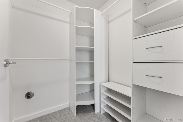 walk in closet featuring light colored carpet