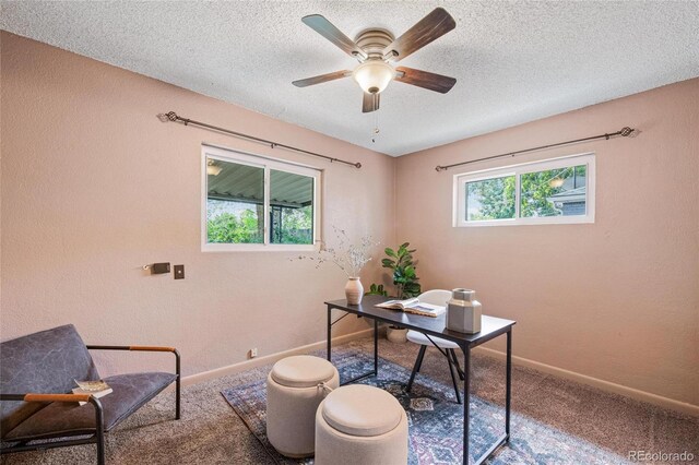 1290 Ursula St, Aurora, CO 80011 - photo 24