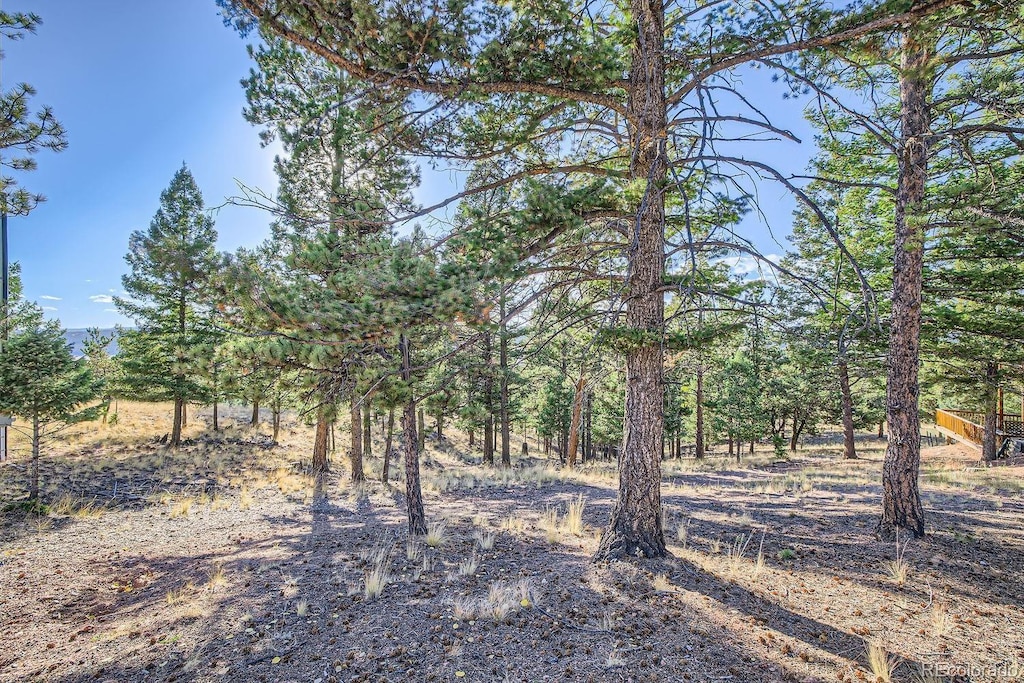 37 Amanda Cir, Florissant, CO 80816 - photo 1