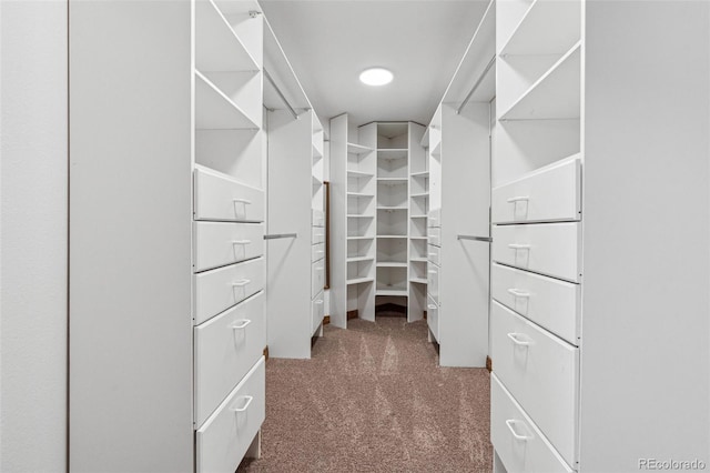 walk in closet with carpet