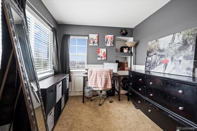 15800 E 121st Ave Unit 4K, Brighton, CO 80603 - home office with carpet flooring
