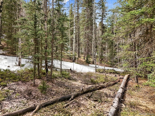 464 E Bison Creek Trl, Florissant, CO 80816 - photo 1