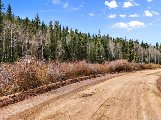 464 E Bison Creek Trl, Florissant, CO 80816 - photo 2
