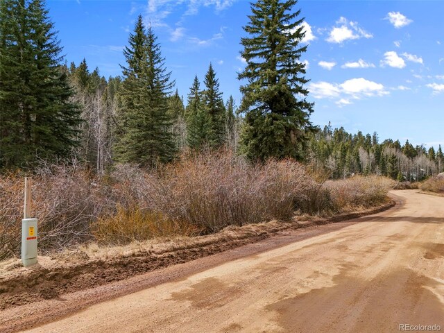 464 E Bison Creek Trl, Florissant, CO 80816 - photo 3