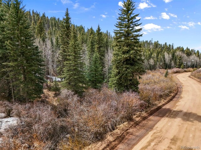 464 E Bison Creek Trl, Florissant, CO 80816 - photo 4