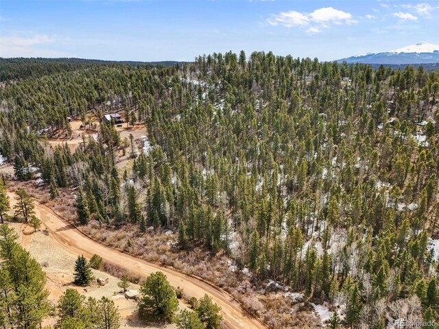 464 E Bison Creek Trl, Florissant, CO 80816 - photo 5