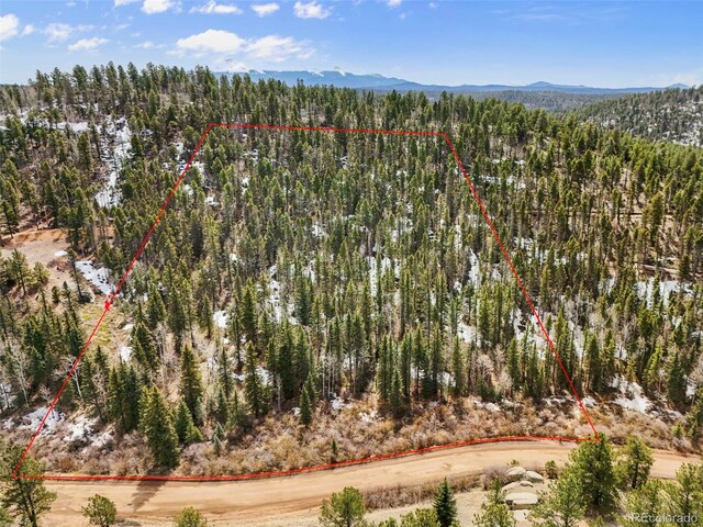 464 E Bison Creek Trl, Florissant, CO 80816 - photo 6