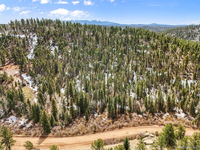 464 E Bison Creek Trl, Florissant, CO 80816 - photo 7