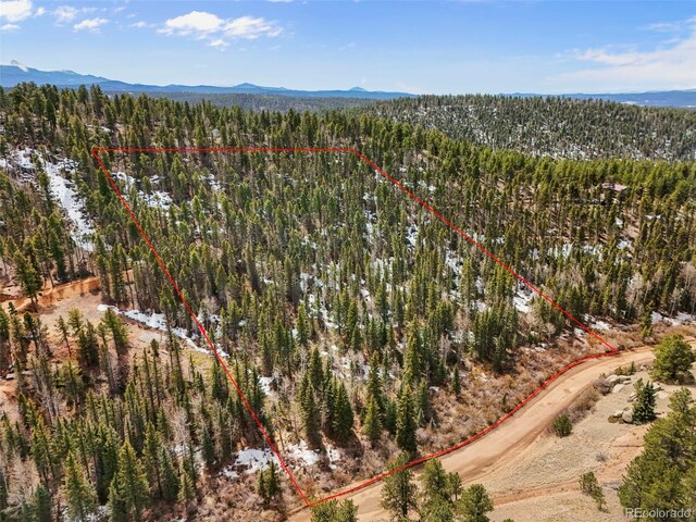 464 E Bison Creek Trl, Florissant, CO 80816 - photo 8