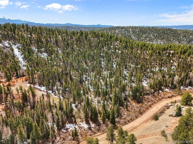464 E Bison Creek Trl, Florissant, CO 80816 - photo 9