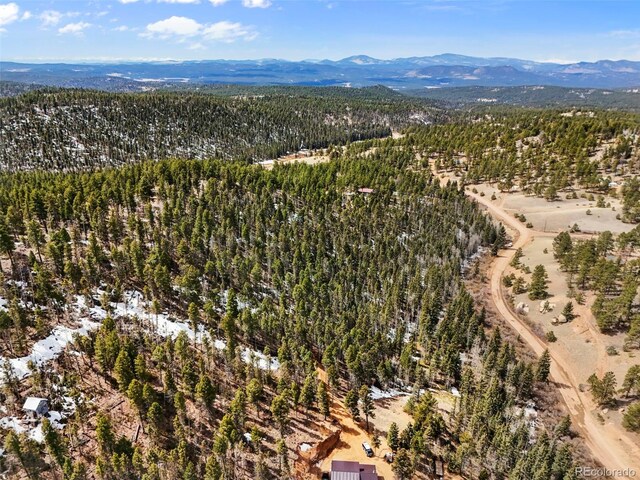 464 E Bison Creek Trl, Florissant, CO 80816 - photo 10