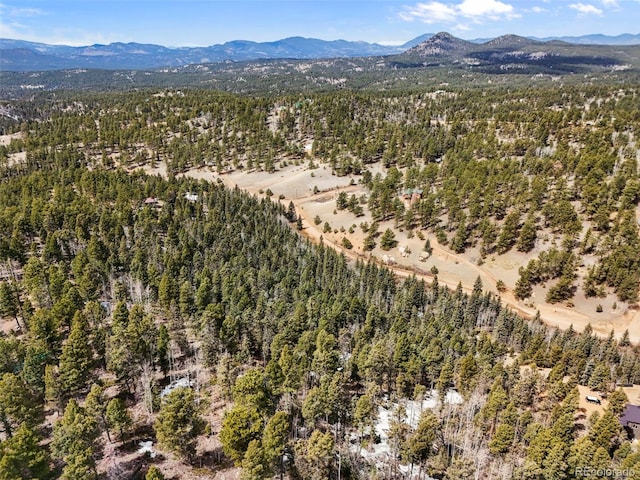 464 E Bison Creek Trl, Florissant, CO 80816 - photo 11