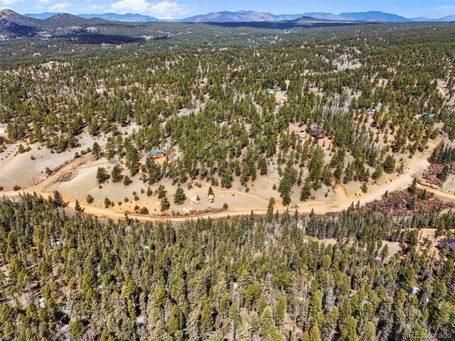 464 E Bison Creek Trl, Florissant, CO 80816 - photo 12