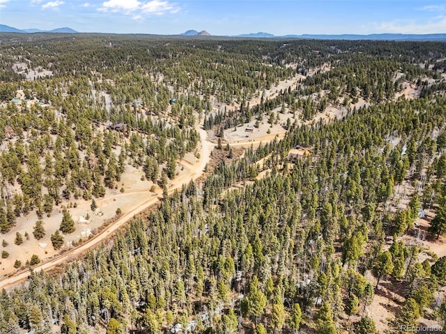 464 E Bison Creek Trl, Florissant, CO 80816 - photo 13