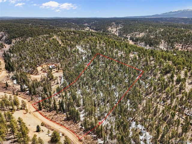 464 E Bison Creek Trl, Florissant, CO 80816 - photo 15