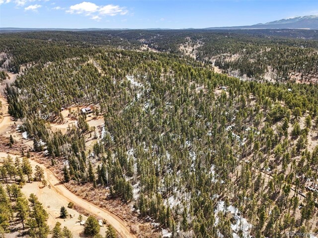 464 E Bison Creek Trl, Florissant, CO 80816 - photo 16