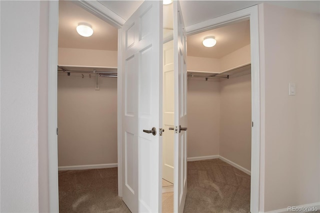 spacious closet with carpet flooring