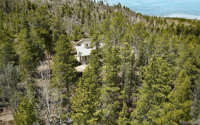 485 W Homestead Dr, Granby, CO 80446 - photo 33