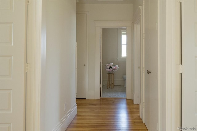 3330 Bruce Randolph Ave, Denver, CO 80205 - hall with light wood-style floors and baseboards