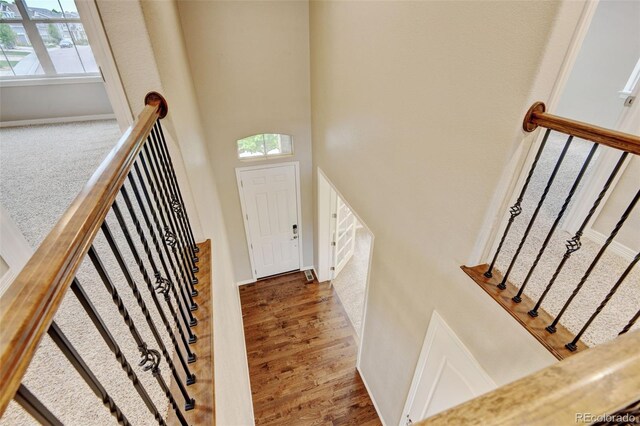 2454 Ambience Ln, Castle Rock, CO 80109 - entryway with healthy amount of natural light, a high ceiling, baseboards, stairway, and wood finished floors