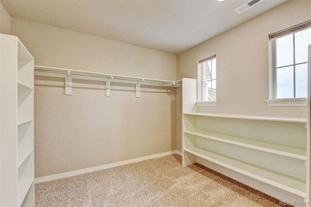 2454 Ambience Ln, Castle Rock, CO 80109 - spacious closet with carpet floors