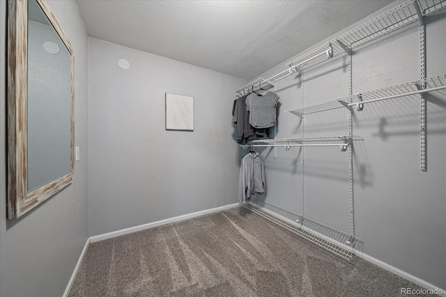 spacious closet with carpet flooring