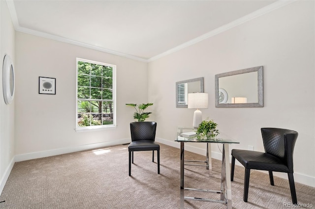 2037 River W Dr, Windsor, CO 80550 - sitting room featuring carpet flooring, ornamental molding, and an office area