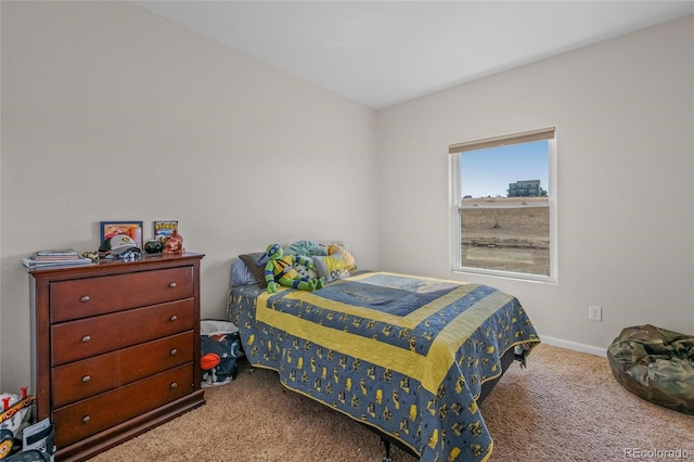 35505 E 149th Ct, Hudson, CO 80642 - photo 19