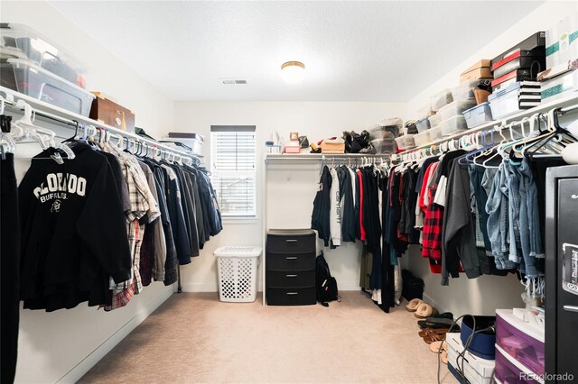 14454 Grape Way, Thornton, CO 80602 - spacious closet with carpet flooring