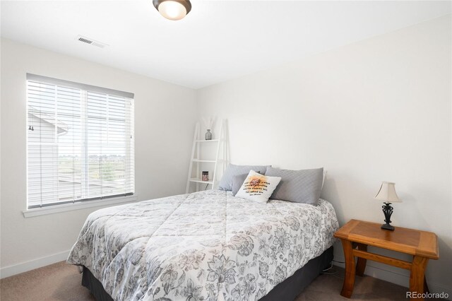 14454 Grape Way, Thornton, CO 80602 - carpeted bedroom with baseboards