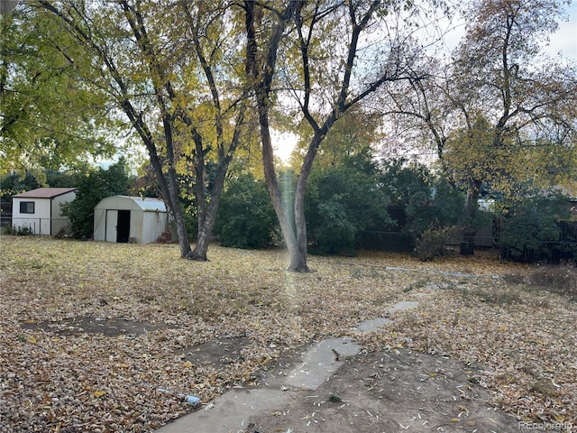 view of yard with a storage unit