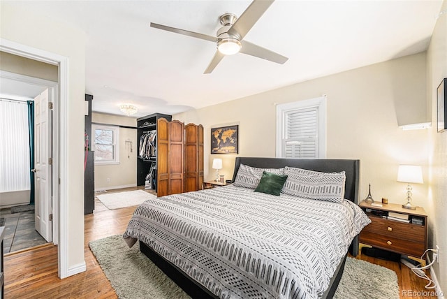 bedroom featuring ceiling fan, a walk in closet, a closet, and light wood-type flooring